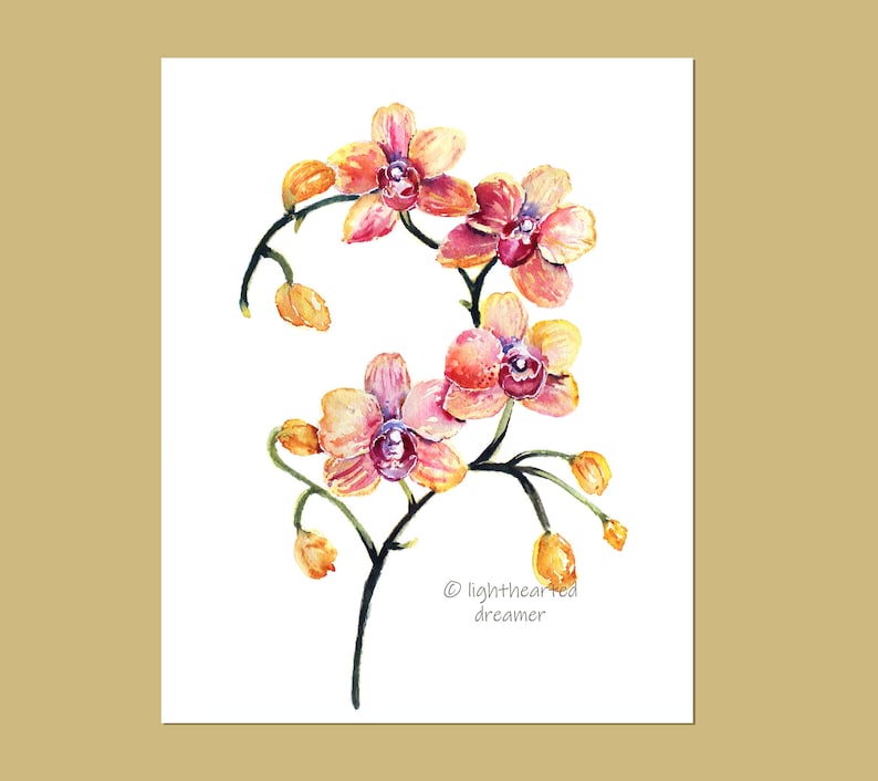 May include: Watercolor painting of a branch of pink and yellow orchids with green stems and leaves. The painting is on a white background and has the artist's signature in the bottom right corner.