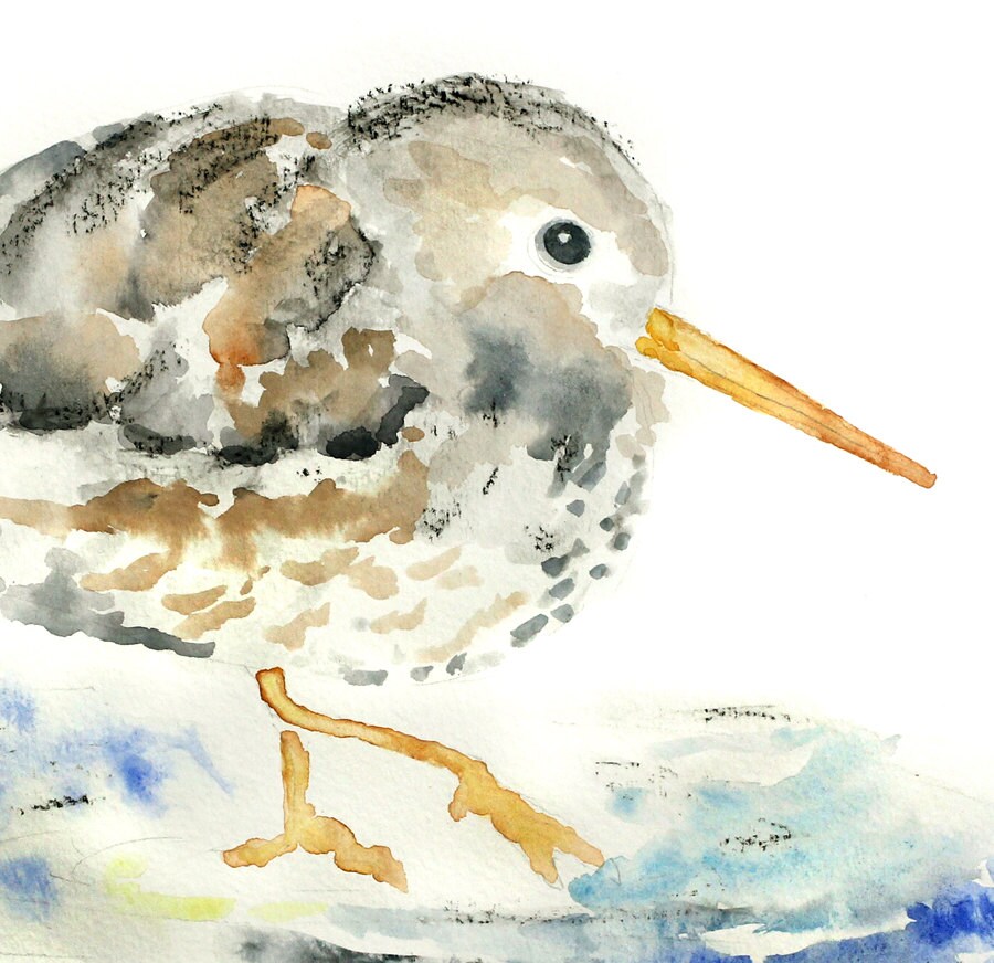 Beach Bird Print Nautical Decor Beach Decor Beach Theme Etsy