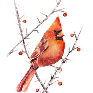 Cardinal Print, Cardinal Artwork, Housewarming Gift, Watercolor Cardinal, Christmas Gift, Winter Wall Art, Winter Decor