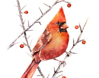 Cardinal Print, Cardinal Artwork, Housewarming Gift, Watercolor Cardinal, Christmas Gift, Winter Wall Art, Winter Decor