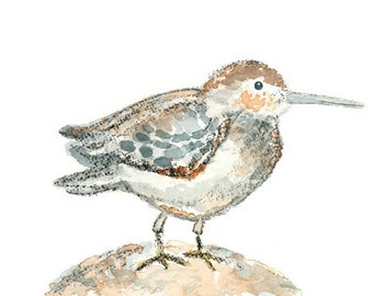 Sandpiper print, Beach Nursery Print, nautical decor, Beach Wall Art, Beach decor, beach house Art, Whimsical Beach Art