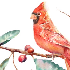 May include: A watercolor painting of a red cardinal perched on a branch with red berries. The bird is facing to the left and has a bright red body with a black beak and eye. The background is white.