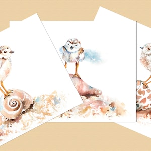 Watercolor Beach Birds, Plover Prints, Summer Wall Art, Beach Nursery, Coastal Print Set, Bathroom Prints, Coastal Décor, Beach House Décor