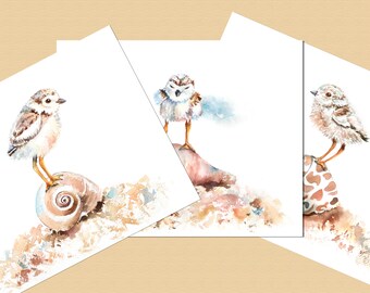 Watercolor Beach Birds, Plover Prints, Summer Wall Art, Beach Nursery, Coastal Print Set, Bathroom Prints, Coastal Décor, Beach House Décor