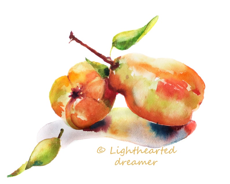 Pear Print, Watercolor Kitchen Art, Kitchen Decor, Kitchen Watercolor Print, Watercolor Pear, Kitchen Wall Art, red, green, gold