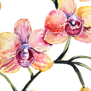 May include: Watercolor painting of pink and yellow orchids with green stems and leaves on a white background.