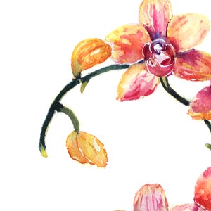 May include: Watercolor painting of pink and yellow orchid flowers with green stems and buds.