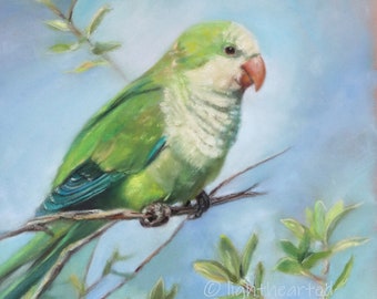 May include: A green and blue parrot perched on a branch with green leaves against a light blue background. The parrot has a white chest and a red beak.