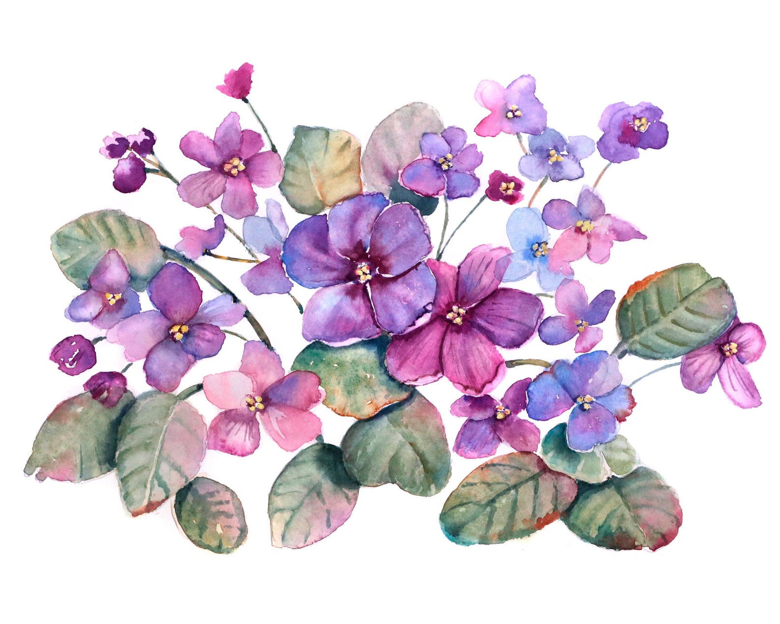 Watercolor Flowers Print Flower Art African Violets Print Etsy