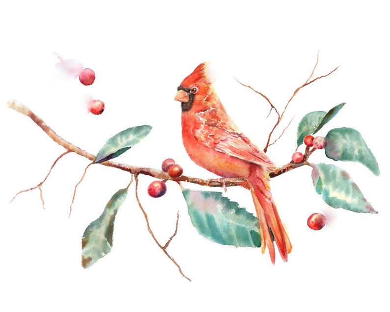 May include: A watercolor painting of a red cardinal perched on a branch with green leaves and red berries. The bird is facing left and has a long tail.