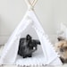 see more listings in the Pet Teepees section