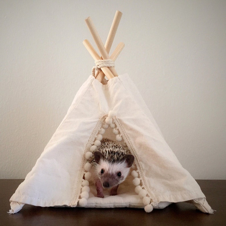 Hedgehog Bed Hedgehog House Hedgehog Teepee With Pad Small Etsy