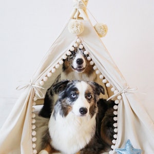 Original Dog Teepee, Dog Bed, Large Dog Bed, Pet Bed, Pet Teepee, Tipi Dog, Cat Teepee, Dog Couch, Dog Tent, Bogo Pet House, Indian Tent Dog image 6