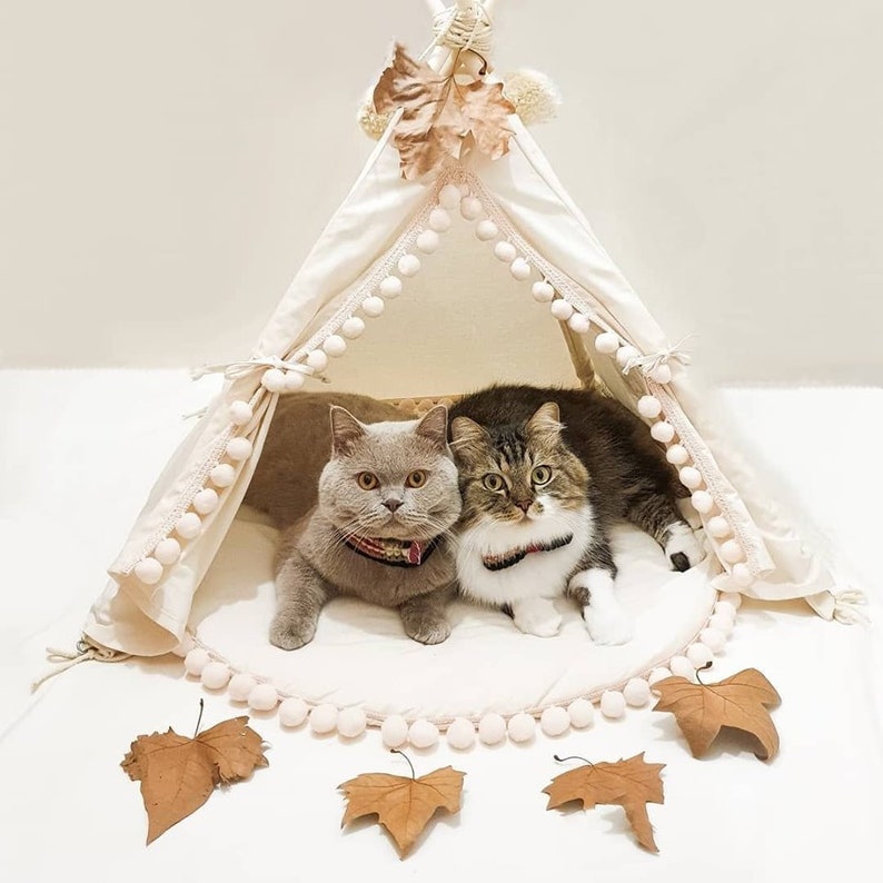 Dog Bed, Dog Teepee, Cat Teepee, Pet Teepee, Tipi Tent Dog, Small Teepee, Small Dog Bed, Native American Dog Tent, Pet Bedding, Indoor Tent image 2