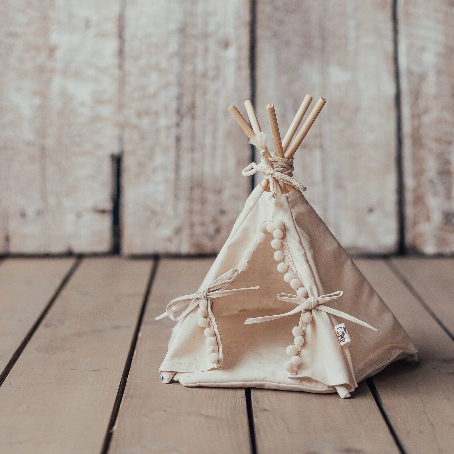 Guinea Pig Teepee With a Soft Pad Guinea Pig Bed Rat Bed Etsy Canada