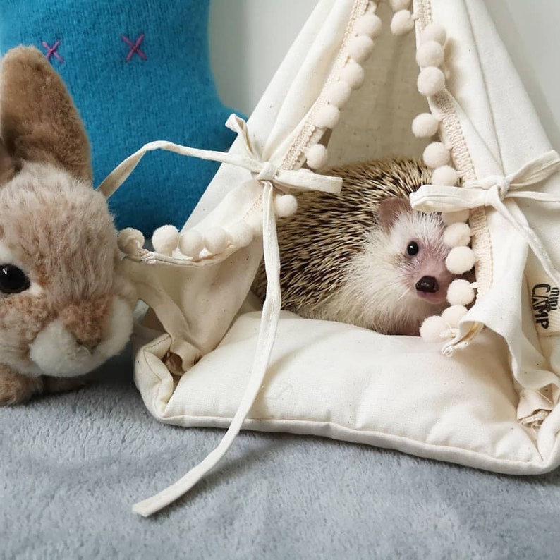 Hedgehog Bed Hedgehog House Hedgehog Teepee With Pad Small Etsy