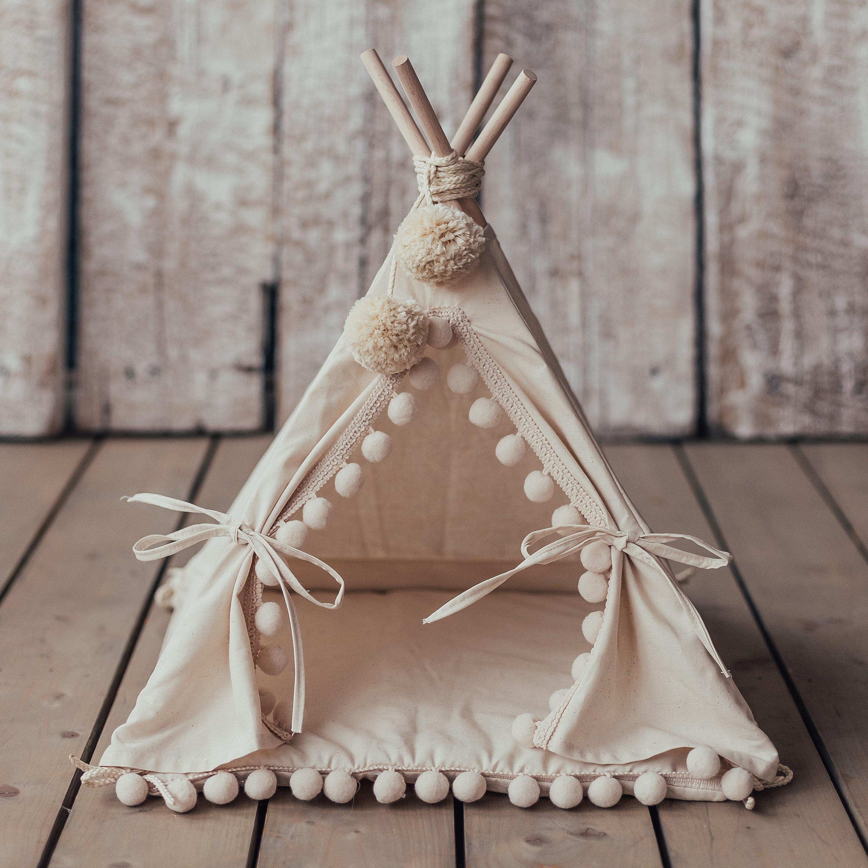 Guinea Pig Teepee With a Soft Pad Guinea Pig Bed Rat Bed Etsy Canada