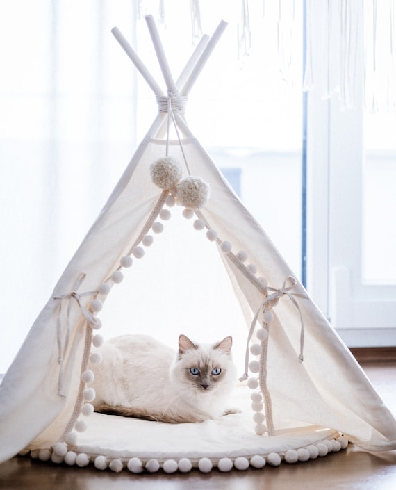 teepee cat