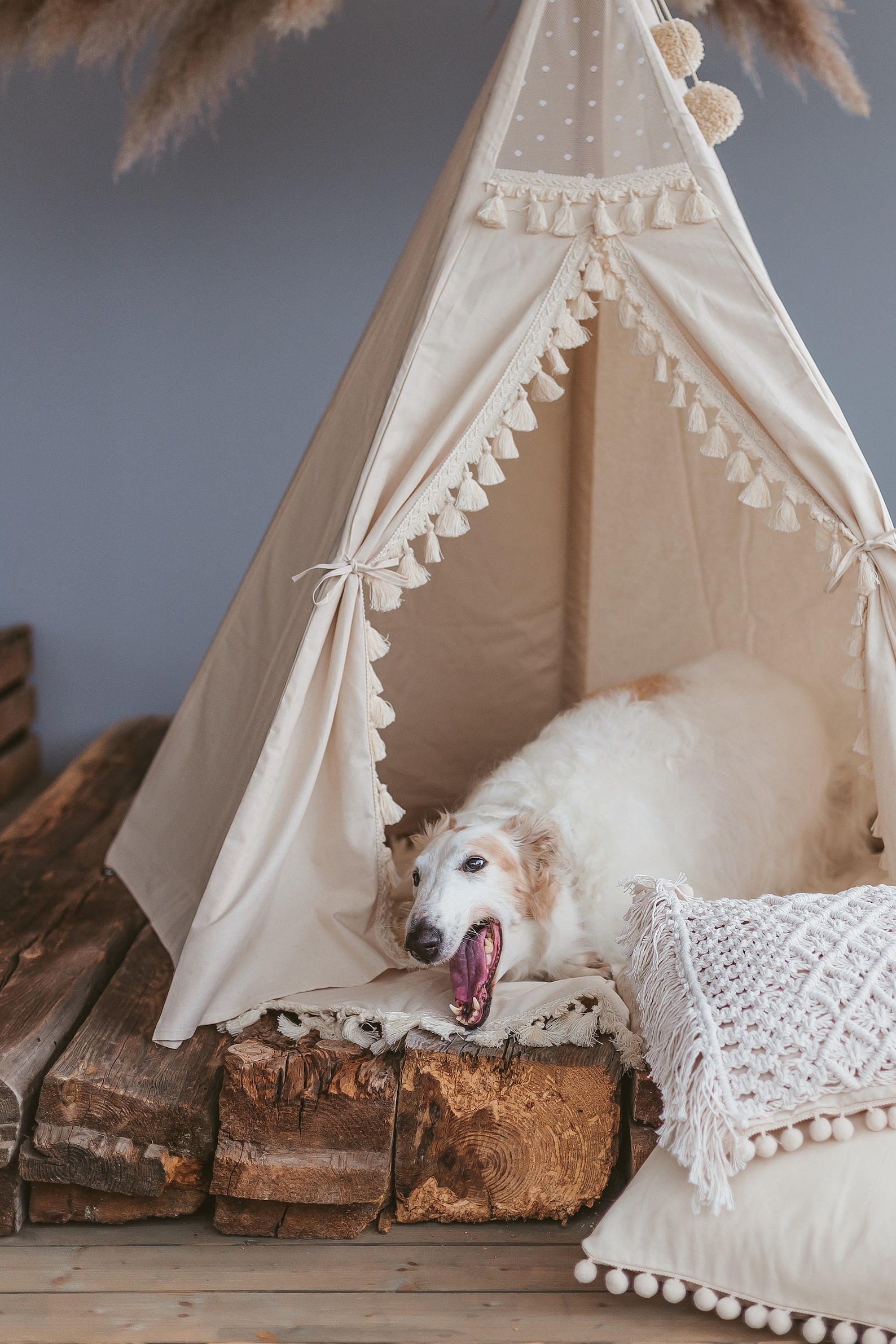 Extra Large Dog Bed Teepee Bed for Dog Handmade Dog Bed With Etsy
