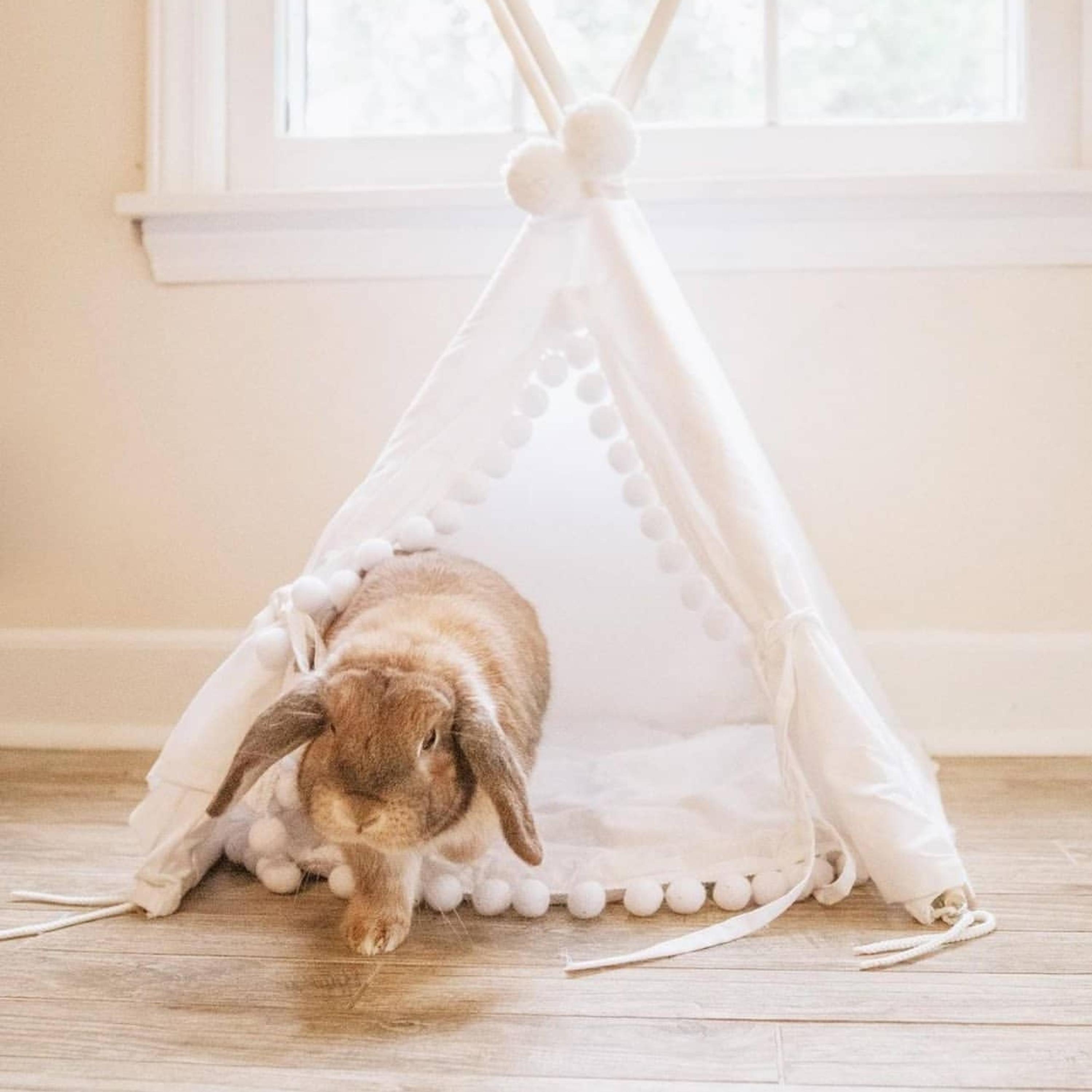 PawHut Tente Tipi Pour Animaux - Teepee Chat Ou Chien - Coussin épais Grand Confort 2 Pompons Inclus - Maison Niche Pour Chat Structure Bois De Pin Feutrine Peluche Gris