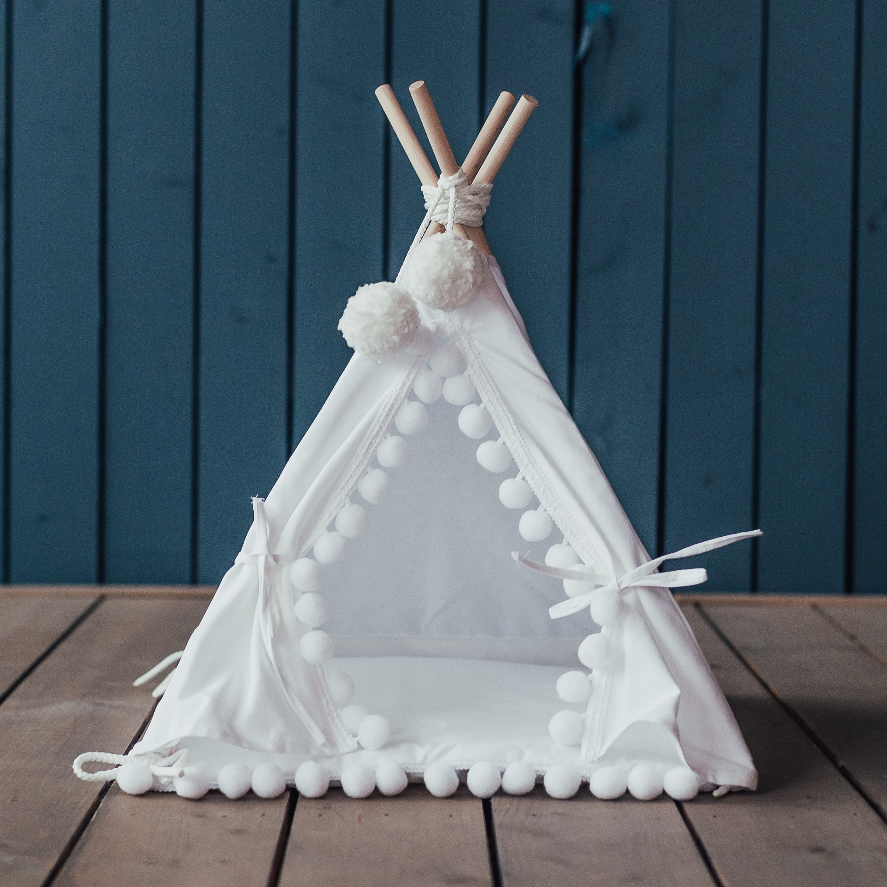 Guinea Pig Teepee With a Soft Pad Guinea Pig Bed Rat Bed Etsy Canada