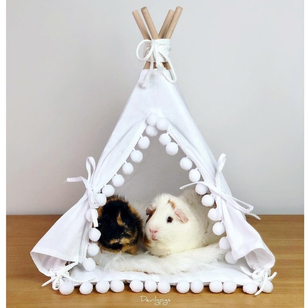 Curated visual reference: Guinea Pig Tent Ideas Reference: Bed Tent