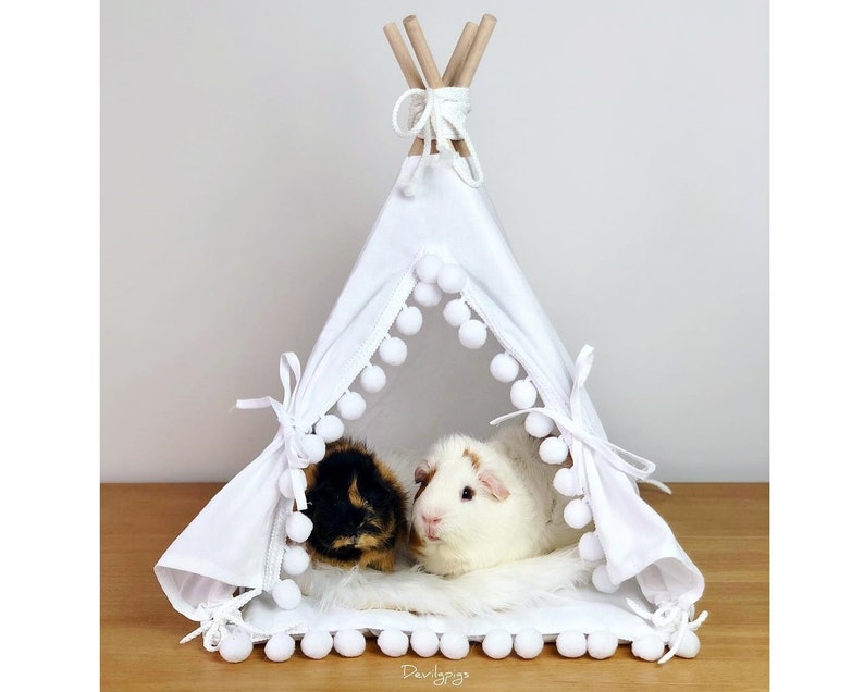 Guinea Pig Teepee with a Soft Pad, Guinea Pig Bed, Rat Bed, Chinchilla