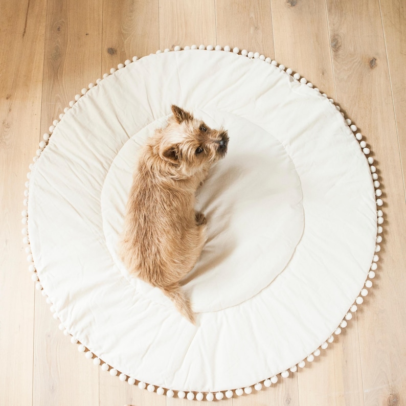 May include: A small, light brown dog sits on a white, round play mat with a white pom-pom trim.
