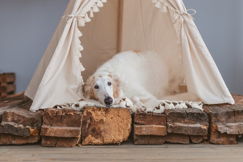Extra groot hondenbed: Tipi bed voor hond handgemaakte | Etsy Tipi tijd! De leukste Tipi's voor je hond.