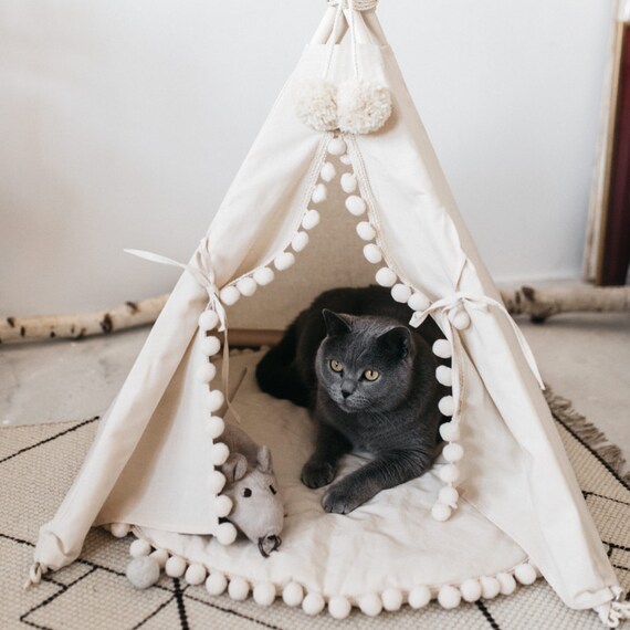 teepee cat