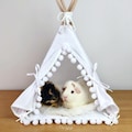 Guinea Pig Teepee, Guinea Pig Bed, Chinchilla Bed, Pet Teepee, Guinea Pig House, Guinea Pig Accessories, Guinea Pig Tipi, Small Pet Tent product logo