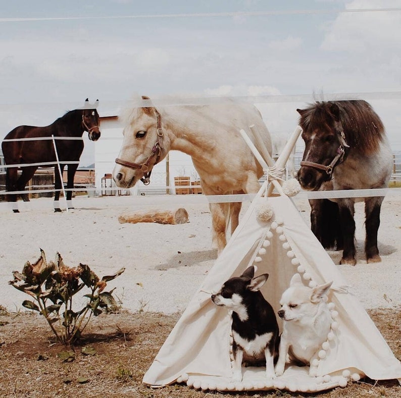 Dog Bed, Dog Teepee, Cat Teepee, Pet Teepee, Tipi Tent Dog, Small Teepee, Small Dog Bed, Native American Dog Tent, Pet Bedding, Indoor Tent image 3