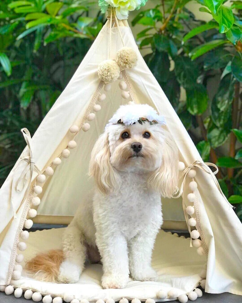 Dog Bed, Dog Teepee, Cat Teepee, Pet Teepee, Tipi Tent Dog, Small Teepee, Small Dog Bed, Native American Dog Tent, Pet Bedding, Indoor Tent image 8