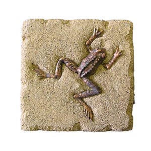 Könnte beinhalten: Eine Bronzefroschskulptur ist auf einem quadratischen, strukturierten, beigefarbenen Stein befestigt. Der Frosch befindet sich in einer entspannten Pose, mit ausgestreckten Beinen und Armen. Die Skulptur hat ein detailliertes, realistisches Aussehen mit sichtbarer Hautstruktur.