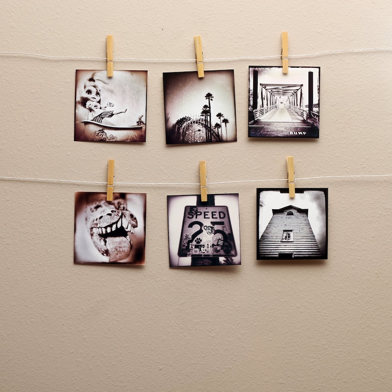 May include: A collection of eight black and white photographs are displayed on a wall using clothespins and string. The photos include a speed limit sign, a building, a bridge, a roller coaster, a person in a bathing suit, and a close-up of a creature's mouth.