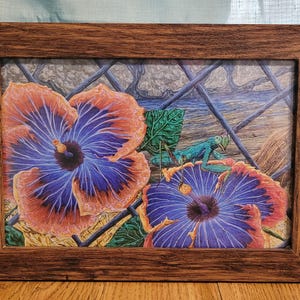 Puede incluir: Una impresión enmarcada de una pintura colorida que presenta dos flores de hibisco azules y naranjas con una mantis religiosa verde posada en una de las flores.