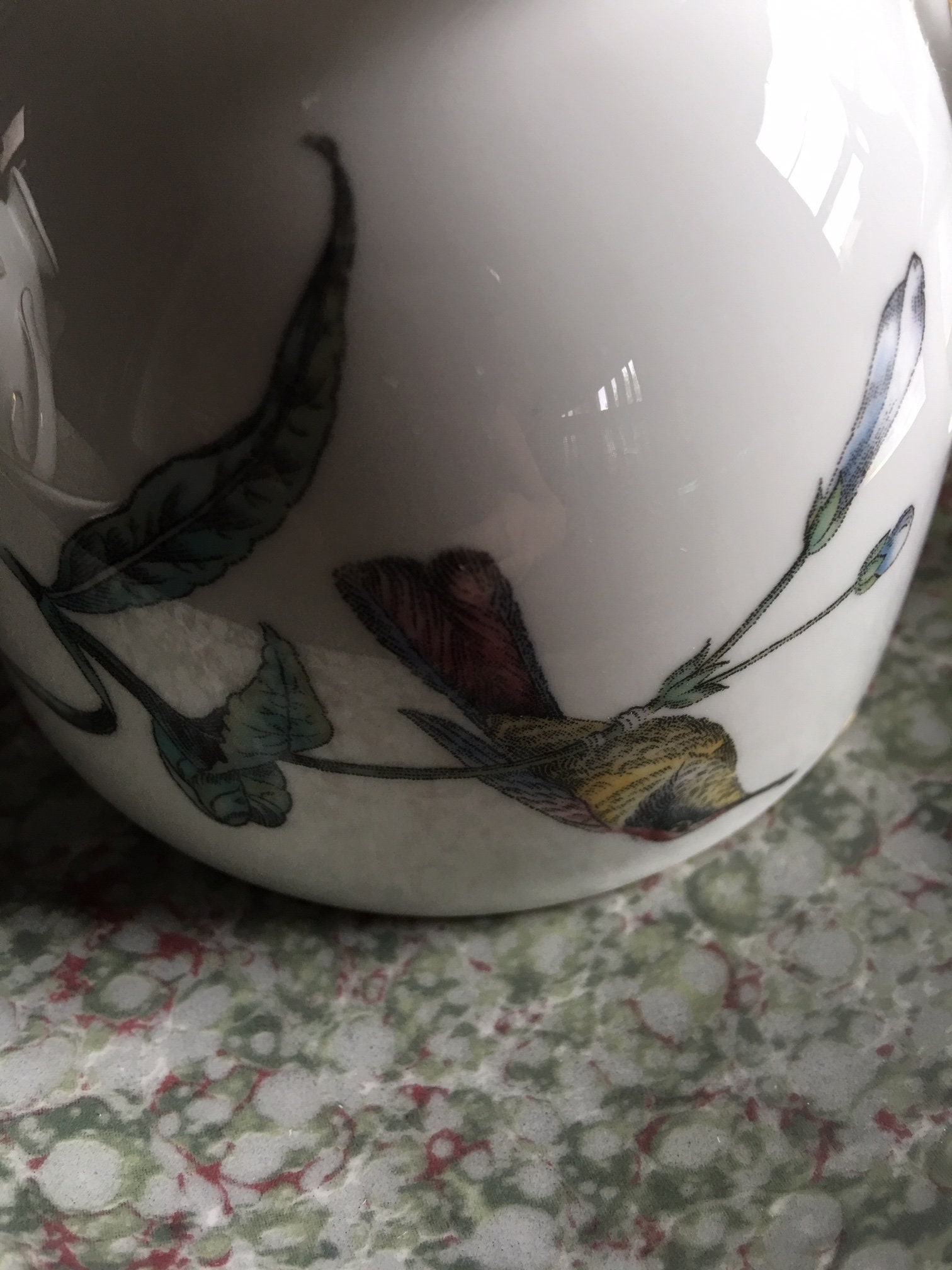 Wedgwood Humming Bird Cups Saucers Bone China Made in England Set of 5 ...