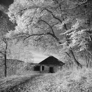 Infrared Lake House Photograph: Black and White Norway Scenery (Digital Download)