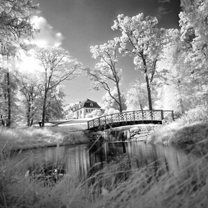 The Park - Digital Art Photograph - Pond - Lake -Bridge - Scenery - Classic Architecture - Trees - Oslo- Norway