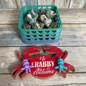 May include: A teal plastic basket with heart-shaped cutouts filled with green and white sea shells, positioned above a red wooden crab cutout featuring the white text No CRABBY Attitudes with a small purple and blue crab attached to it.