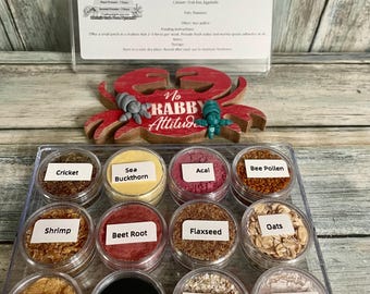 Hermit crab starter bundle - Rectangle container