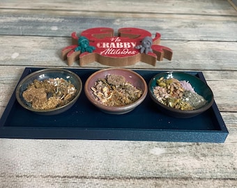 Food Dish Tray Hermit Crab Rectangle