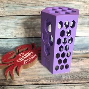 Climbing Tower Hermit Crab