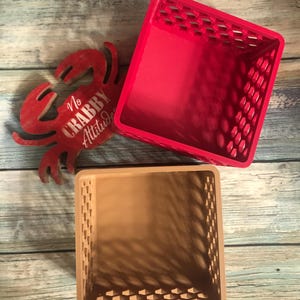 Moss Pit/Shell Shop Hermit Crab