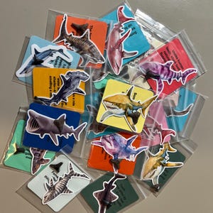 Real Fossilized Shark Tooth Party Favors –  Fun Facts & Shark Stickers – Classroom Rewards, Ocean Gifts, Shark Week Goodies, STEM, JAWS,