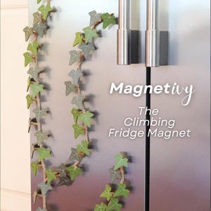 MagnetIvy Segmented Ivy Fridge Magnet – Botanical Plant Magnet for Home or Office Decor, Nature-Inspired Greenery Accent