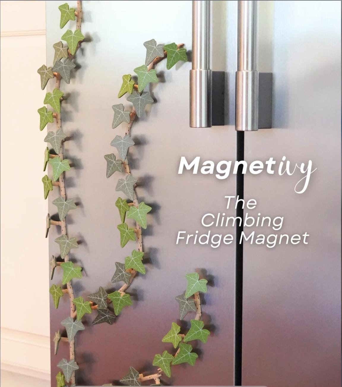 MagnetIvy Segmented Ivy Fridge Magnet – Botanical Plant Magnet for Home or Office Decor, Nature-Inspired Greenery Accent