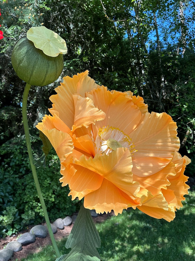 Small Ruffled Poppy Giant Crepe Paper Poppy With Pod: Freestanding Wedding Decor - Etsy