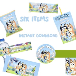 Blue Dog BLUEY custom party favors