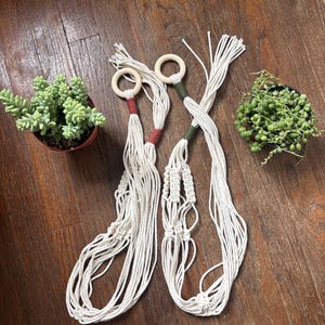 May include: Two white macrame plant hangers with wooden rings and decorative knots. One hanger has red accents, the other has green. Two small potted succulents are on a wooden surface.